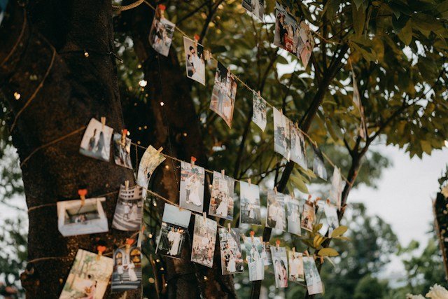 Luxury venue dining setup